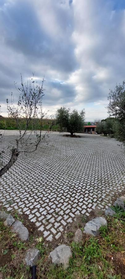 Merumalia Wine Resort Frascati Kültér fotó