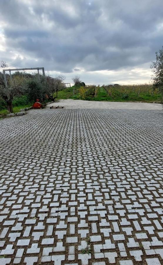 Merumalia Wine Resort Frascati Kültér fotó