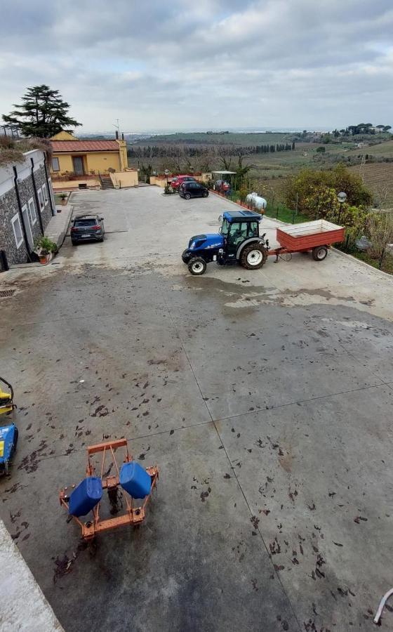 Merumalia Wine Resort Frascati Kültér fotó