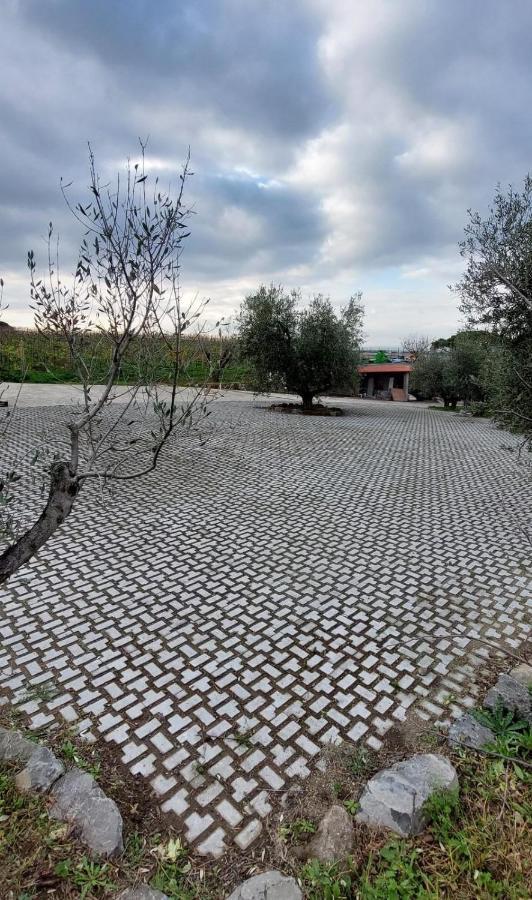Merumalia Wine Resort Frascati Kültér fotó