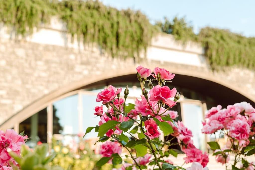 Merumalia Wine Resort Frascati Kültér fotó