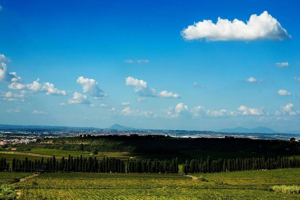 Merumalia Wine Resort Frascati Kültér fotó