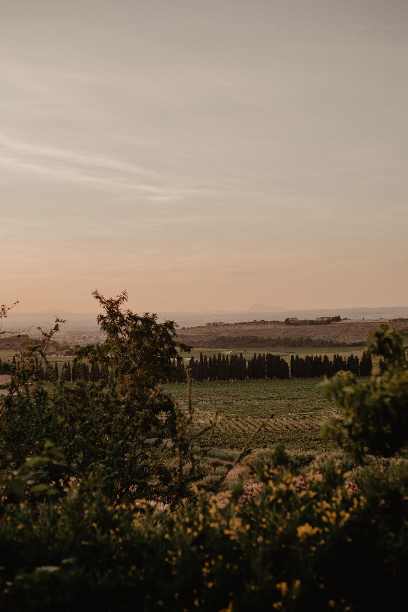 Merumalia Wine Resort Frascati Kültér fotó