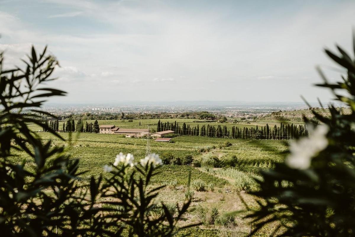 Merumalia Wine Resort Frascati Kültér fotó