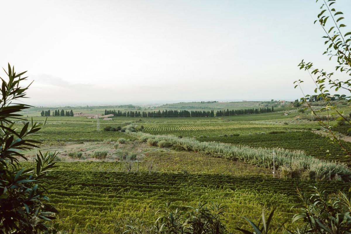 Merumalia Wine Resort Frascati Kültér fotó