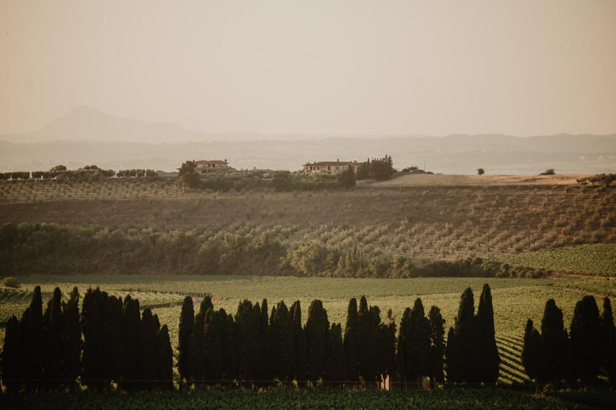 Merumalia Wine Resort Frascati Kültér fotó