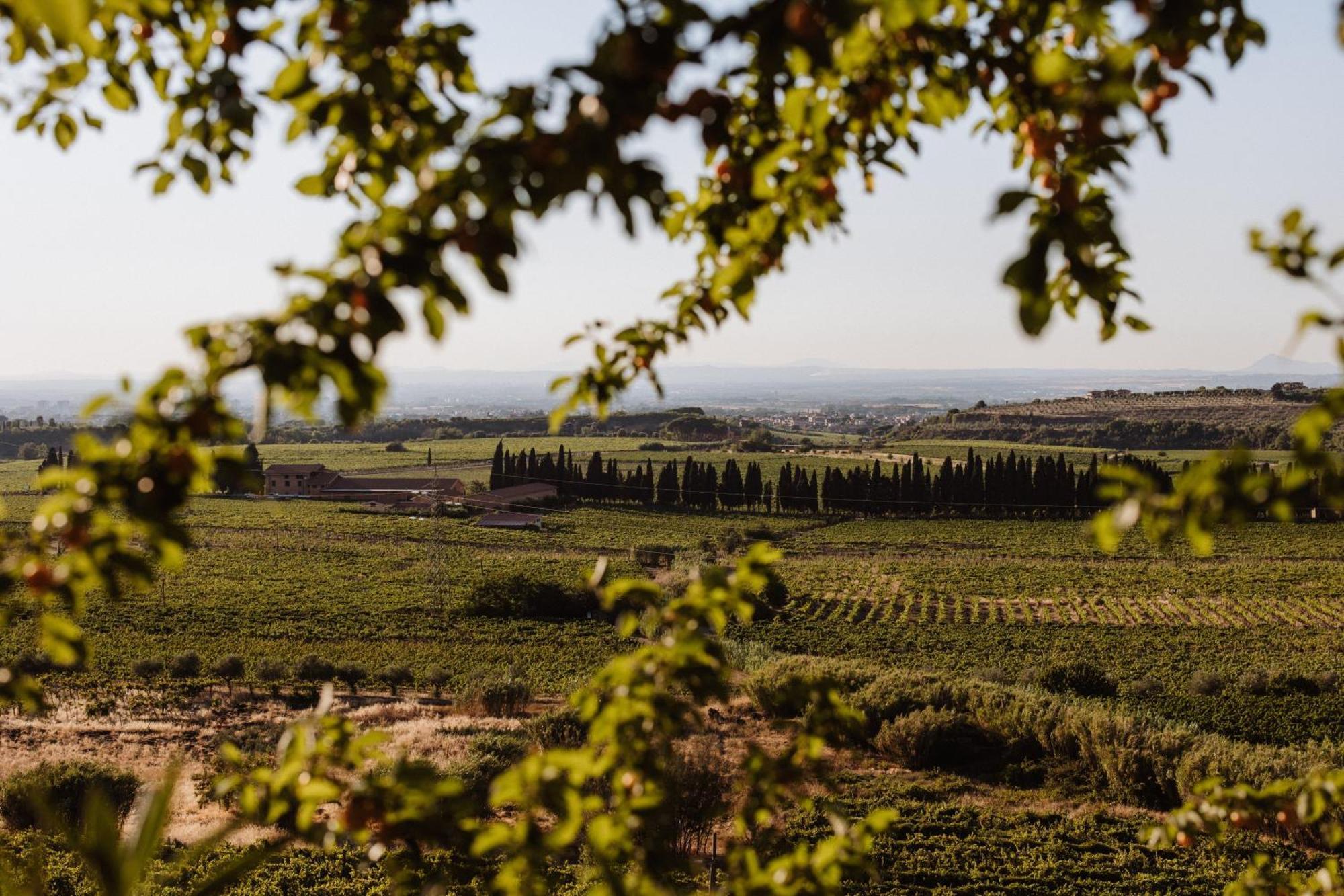 Merumalia Wine Resort Frascati Kültér fotó