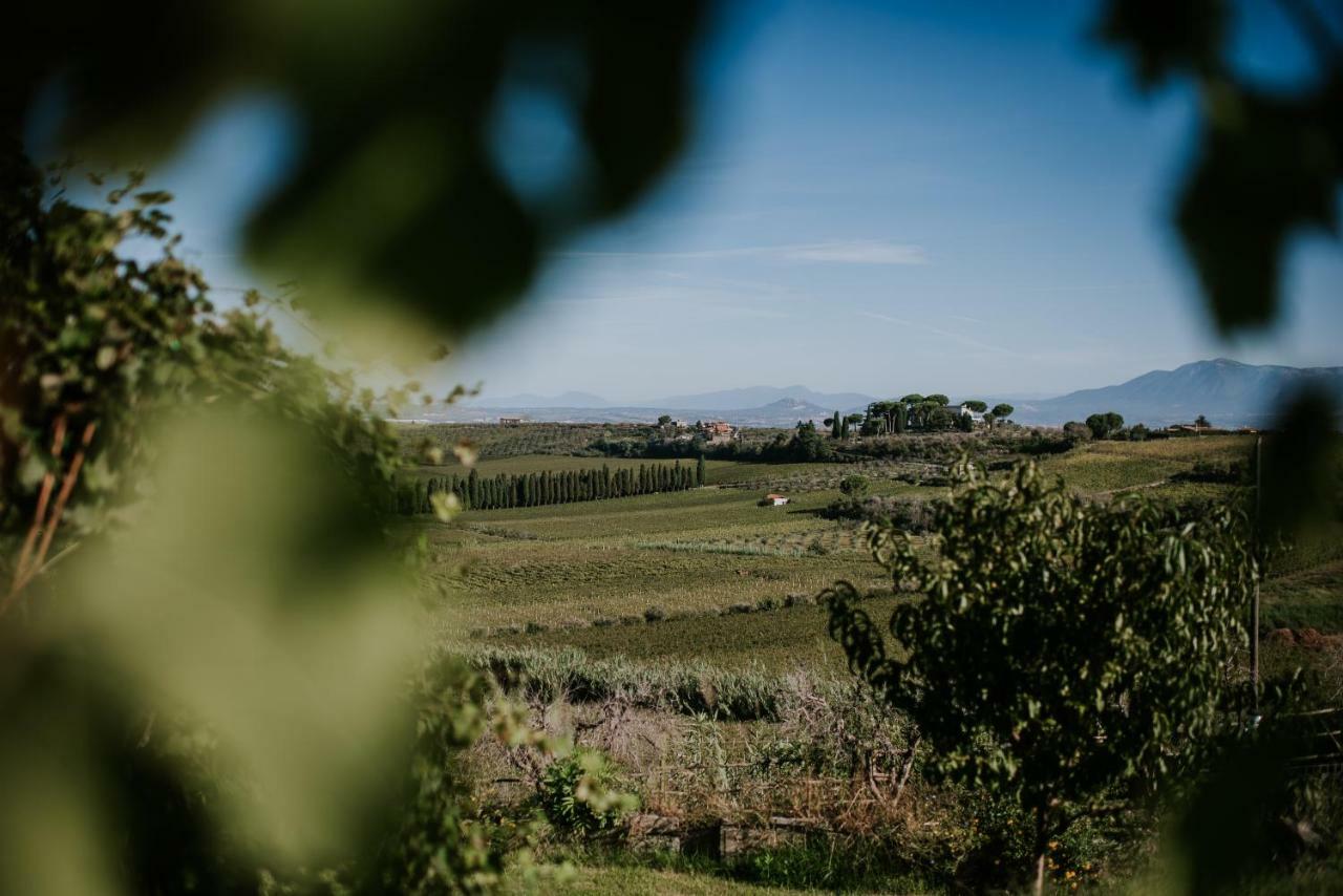 Merumalia Wine Resort Frascati Kültér fotó